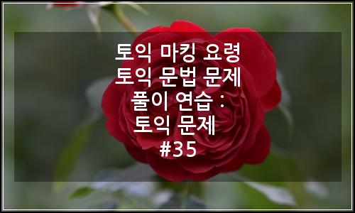 오늘의 이미지
