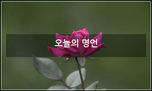 오늘의 이미지