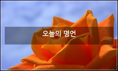 오늘의 이미지