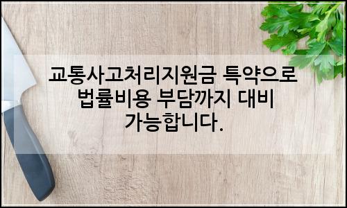 오늘의 이미지