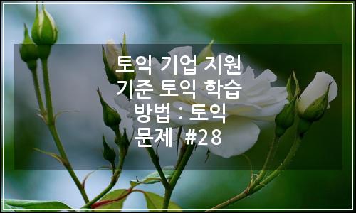 오늘의 이미지