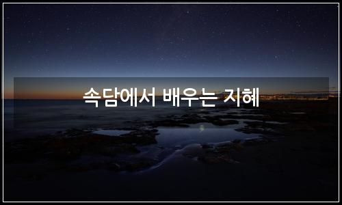 오늘의 이미지