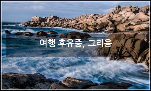 오늘의 이미지