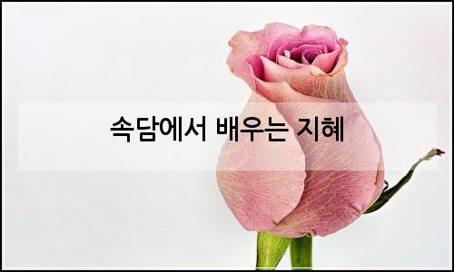 오늘의 이미지