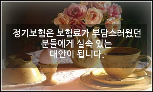 오늘의 이미지