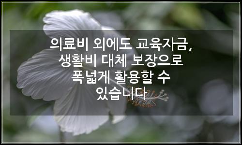 오늘의 이미지