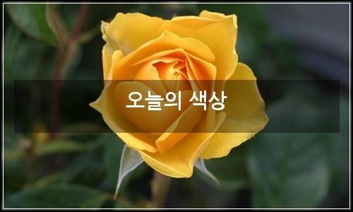 오늘의 이미지