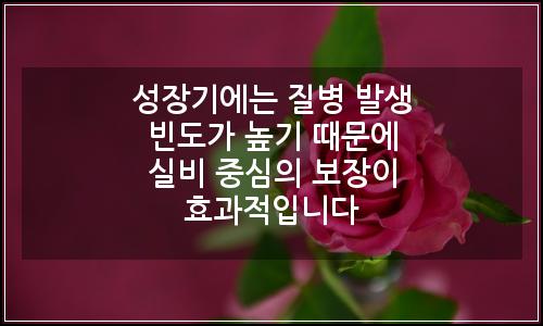 오늘의 이미지