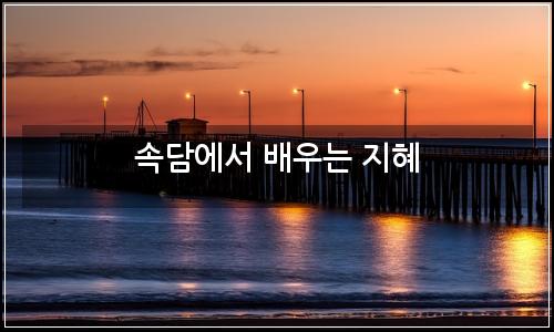 오늘의 이미지
