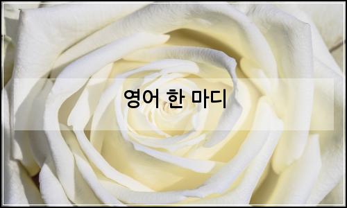 오늘의 이미지