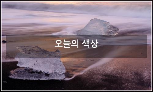 오늘의 이미지