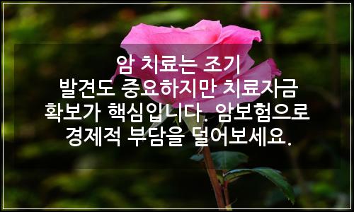 오늘의 이미지