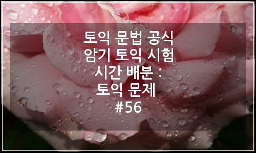 오늘의 이미지