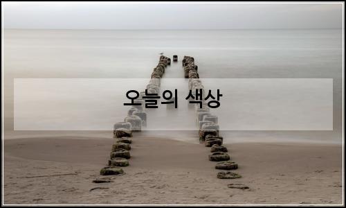 오늘의 이미지