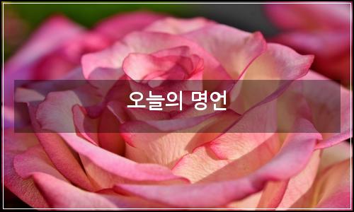 오늘의 이미지