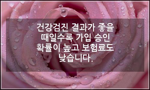 오늘의 이미지