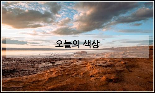 오늘의 이미지