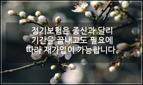 오늘의 이미지