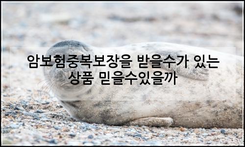 오늘의 이미지