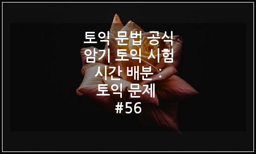 오늘의 이미지