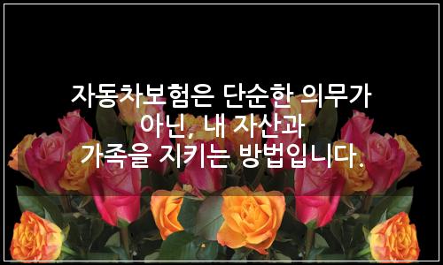 오늘의 이미지