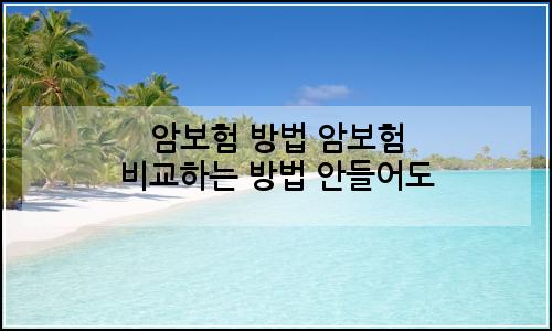오늘의 이미지