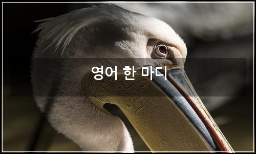 오늘의 이미지