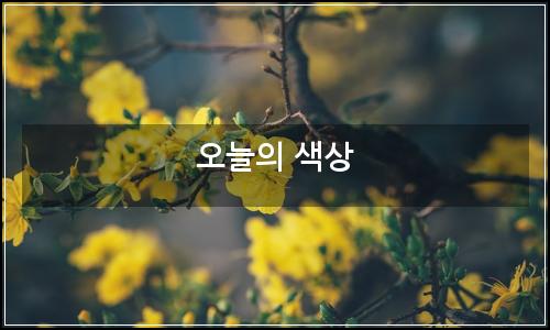 오늘의 이미지