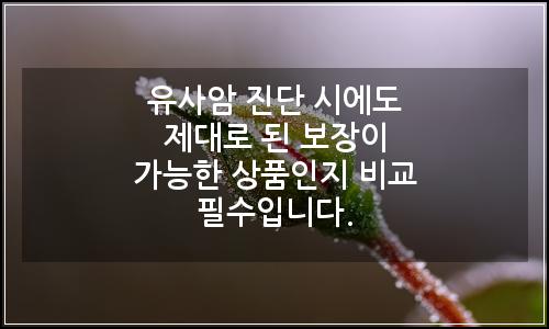 오늘의 이미지