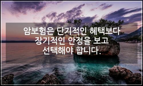오늘의 이미지