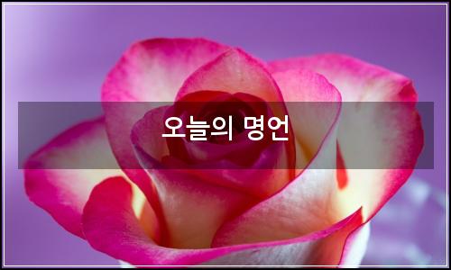 오늘의 이미지