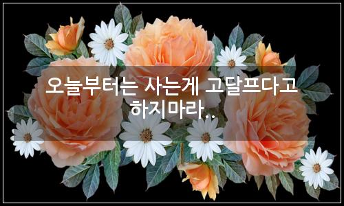 오늘의 이미지