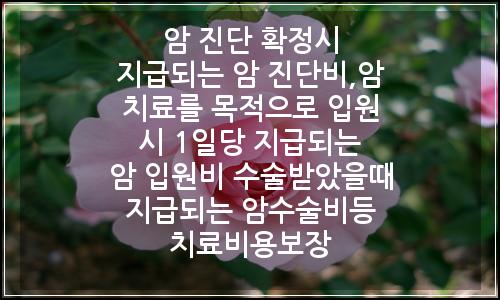 오늘의 이미지