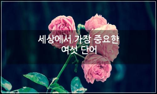 오늘의 이미지