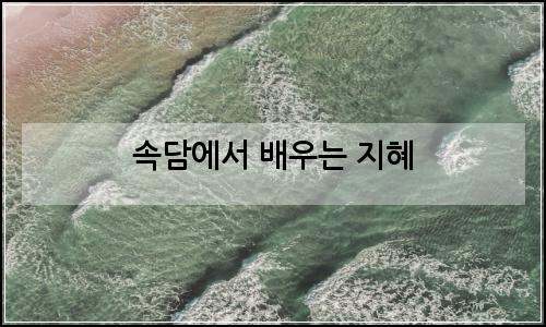 오늘의 이미지