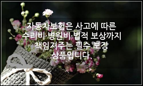 오늘의 이미지