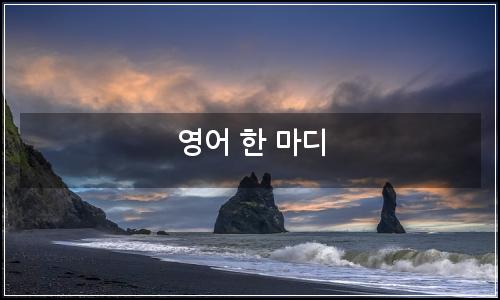 오늘의 이미지
