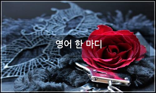 오늘의 이미지