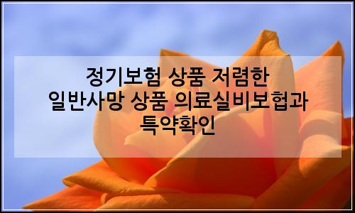오늘의 이미지