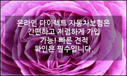 오늘의 이미지