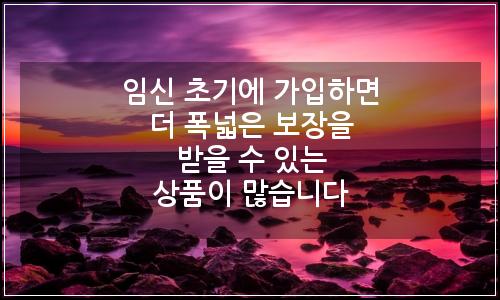 오늘의 이미지