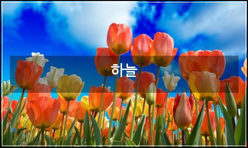 오늘의 이미지