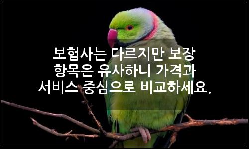 오늘의 이미지