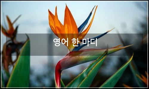 오늘의 이미지