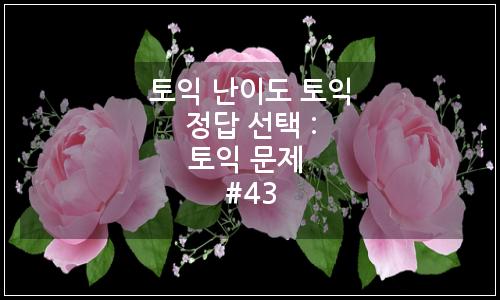 오늘의 이미지
