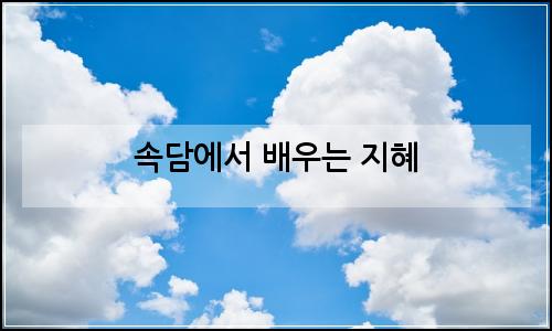 오늘의 이미지