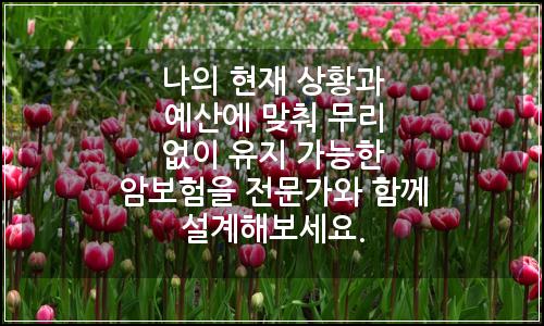 오늘의 이미지