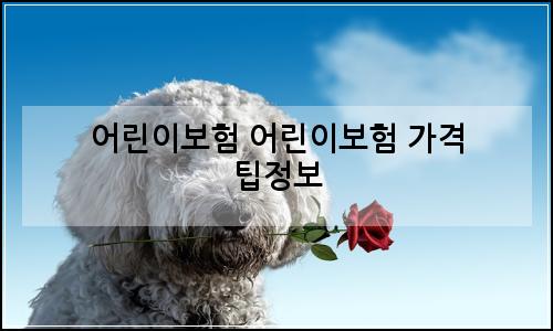 오늘의 이미지