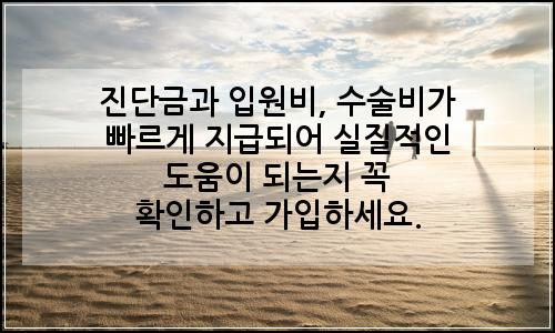오늘의 이미지