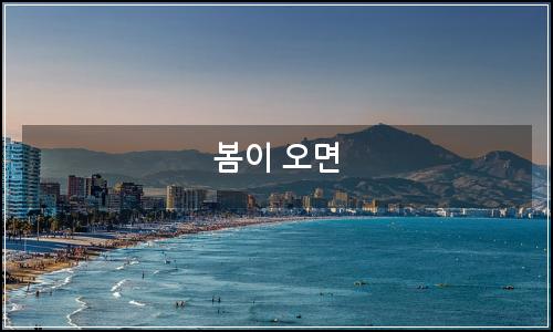 오늘의 이미지